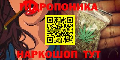 кокс Пушкино