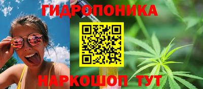кокс Пушкино
